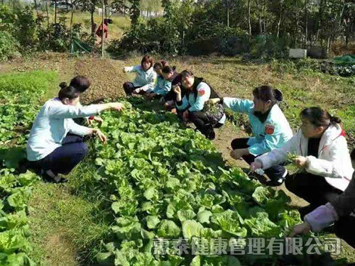 員工團(tuán)建活動(dòng)，自己摘菜做飯